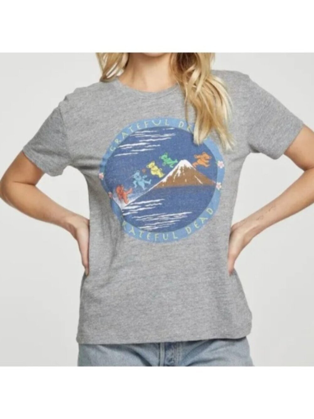 Chaser Grateful Dead Dancing Bears Streaky Grey Tee Size Large